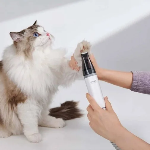 Фото: Набір для грумінгу Mova Pet Grooming G1Pro (CH2) № 45 | KTC