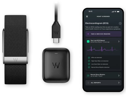 Фітнес-браслет WHOOP MG Life Obsidian/Titanium 12 months (973-002-000)