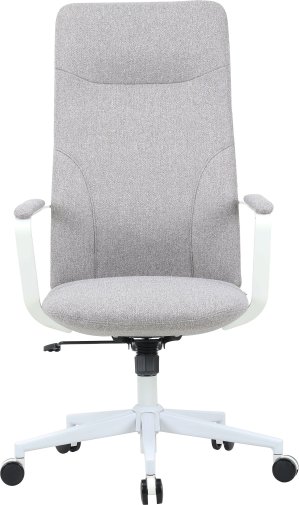 Крісло OfficePro Shift OC545G Gray