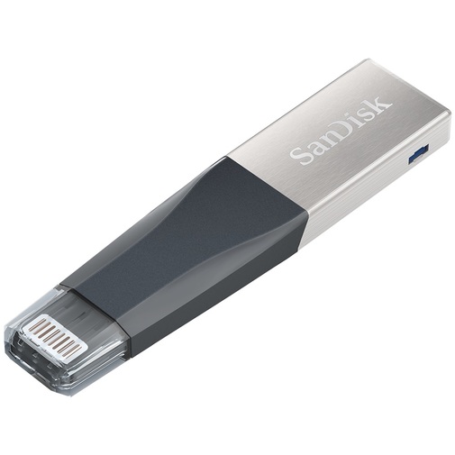 Флешка USB SanDisk iXpand Mini 32 ГБ (SDIX40N-032G-GN6NN)