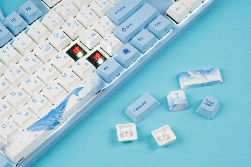 Клавіатура Varmilo VA87M Sea Melody Cherry MX Blue (VA87MC2W/WBPE7HR)