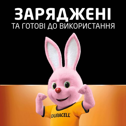 Акумулятор Duracell CEF24 2xAAA 750mAh (81365202)