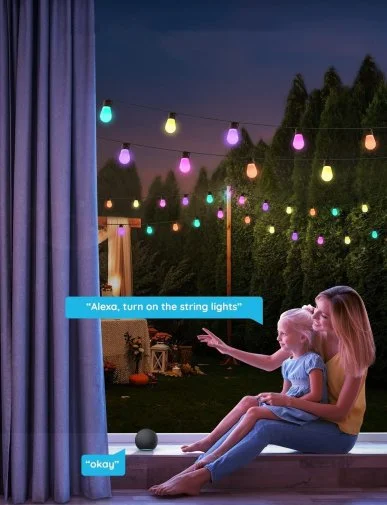 Фото: Гірлянда Govee H7020 LEB Bulb String Lights 15m RGBIC/Warm White Wi-Fi/BT (H70203B1) № 6 | KTC