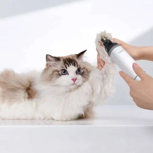 Фото: Набір для грумінгу Mova Pet Grooming G1Pro (CH2) № 46 | KTC