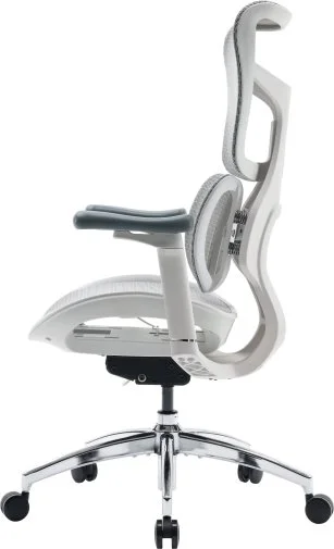 Фото: Крісло SIHOO Doro S100 White (S100-M302) № 24 | KTC