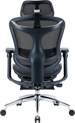 Фото: Крісло SIHOO Doro C300L with Footrest Black (DORO-C300L-A3-101-JT) № 25 | KTC