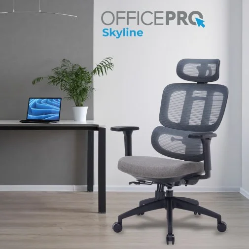 Фото: Крісло OfficePro Skyline OC580-B-DG-DG Black/Dark Gray № 24 | KTC