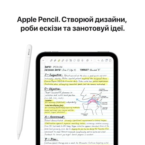 Фото: Планшет Apple iPad Mini 2026 Wi-Fi + Cellular 256GB Starlight (MJ6D4) № 18 | KTC