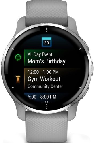 Смарт годинник Garmin Venu 2 Plus Powder Gray Passivated (010-02496-10)