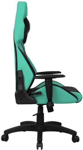 Крісло ігрове 1stPlayer WIN101, Black/Green