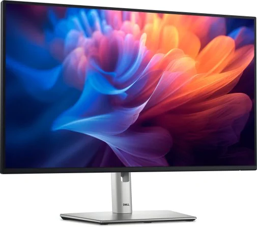 Фото: Монітор Dell P2725H (210-BMGC) - 27" IPS / 1920×1080 / 100 Гц / Pivot / HAS № 9 | KTC