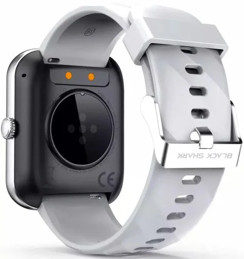 Фото: Смарт годинник Black Shark BS-GT Silver № 13 | KTC