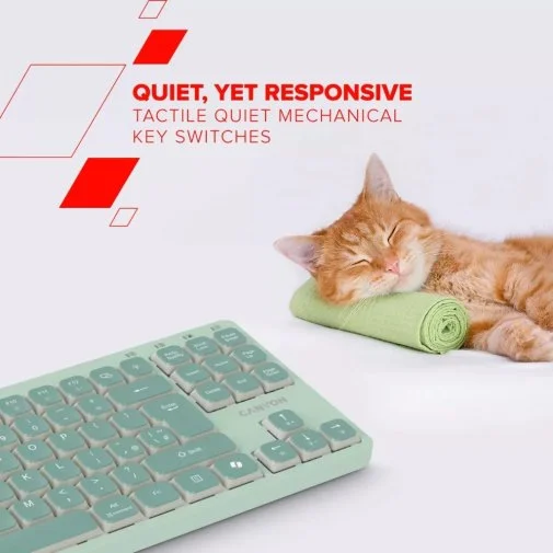 Фото: Клавіатура Canyon OnType 10 USB Green (CNS-HKB10GR) № 18 | KTC
