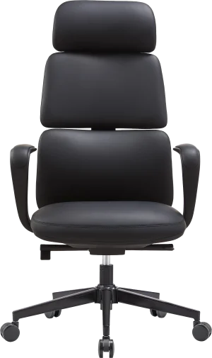 Фото: Крісло OfficePro Delicate OC690BK Black № 15 | KTC