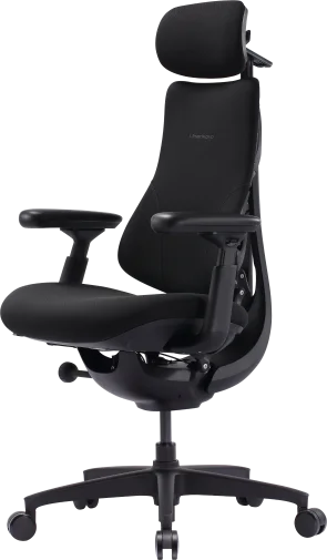 Фото: Крісло LiberNovo Omni SE Obsidian 48cm (CP-GW-1000075-00-03) № 20 | KTC