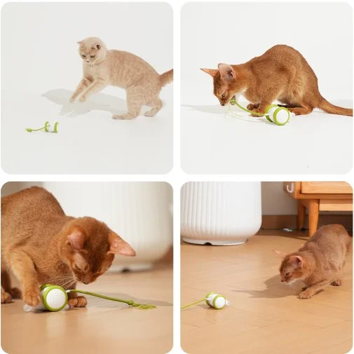Фото: Інтерактивна розумна іграшка-мишка для котів Cheerble Wicked Mouse Green (CWJ03G) № 18 | KTC