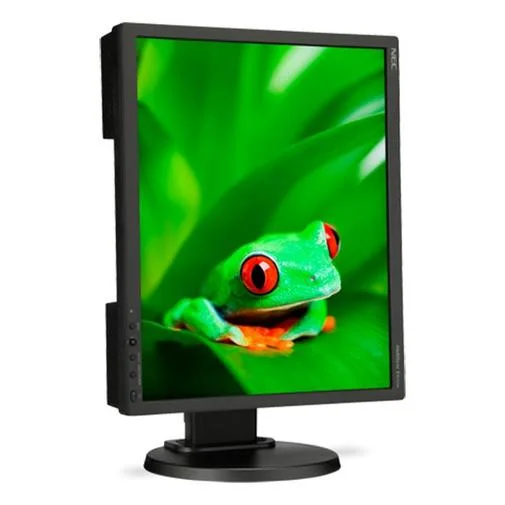 Фото: Монітор NEC MultiSync EA192M (60003065) чорний № 13 | KTC