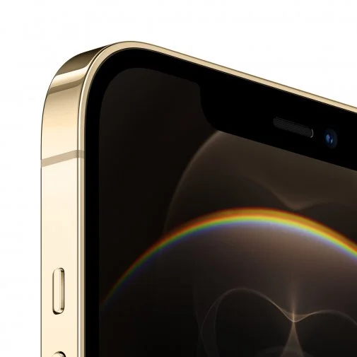Фото: Смартфон Apple iPhone 12 Pro Max 256GB Gold (MGDE3) № 13 | KTC