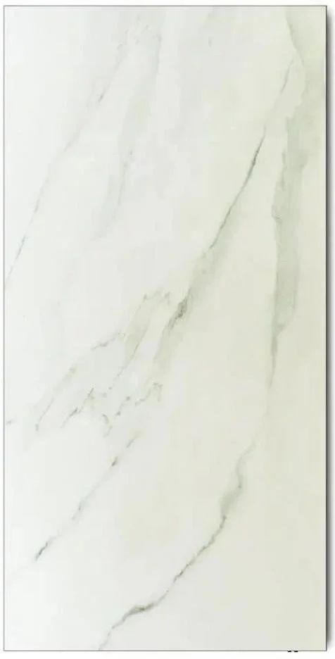 Фото: Керамічна панель Teploceramic TCH-RA 1000 800179 (TCH-RA1000-800179) № 10 | KTC