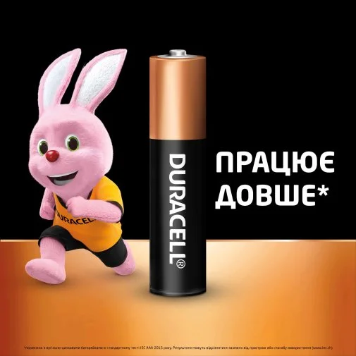 Фото: Батарейка Duracell LR03 MN2400 AAA BL/10 (5002509) № 12 | KTC