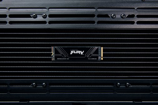 SSD-накопичувач Kingston Fury Renegade G5 2280 PCIe 5.0 x4 NVMe 1TB (SFYR2S/1T0)