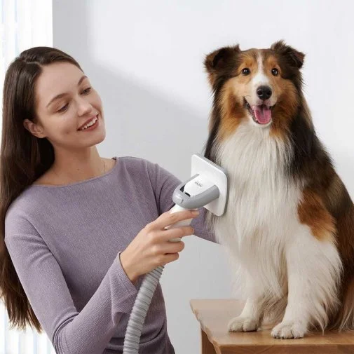 Фото: Набір для грумінгу Mova Pet Grooming G1Pro (CH2) № 42 | KTC