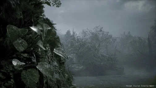 Фото: Гра Metal Gear Solid Delta Snake Eater Day 1 Edition PS5 Blu-ray № 19 | KTC