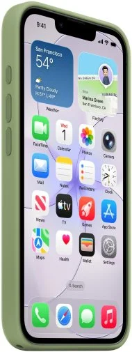 Фото: Чохол Apple for iPhone 17e - Silicone Case with MagSafe Light Moss (MHWF4ZM/A) № 9 | KTC