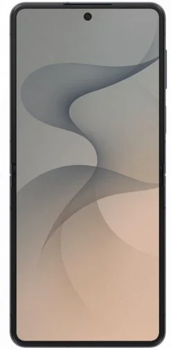 Фото: Смартфон Samsung Galaxy Flip8 12/256GB Graphite (SM-F776BZKGSEK) № 13 | KTC