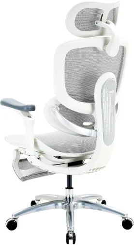 Фото: Крісло SIHOO C300 Lite V2 White (C300-LITE-V2-B102) № 24 | KTC