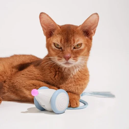 Фото: Інтерактивна розумна іграшка-мишка для котів Cheerble Wicked Mouse Blue (CWJ03B) № 25 | KTC