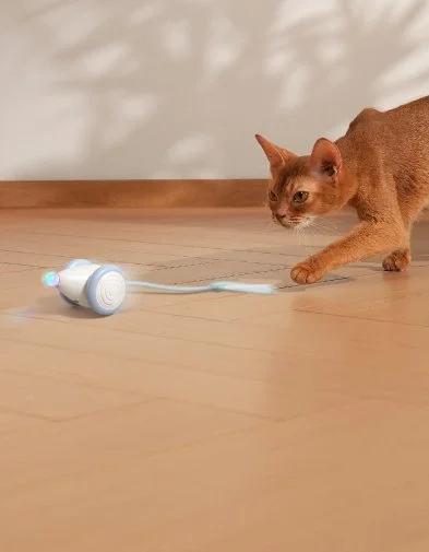 Фото: Інтерактивна розумна іграшка-мишка для котів Cheerble Wicked Mouse Blue (CWJ03B) № 29 | KTC