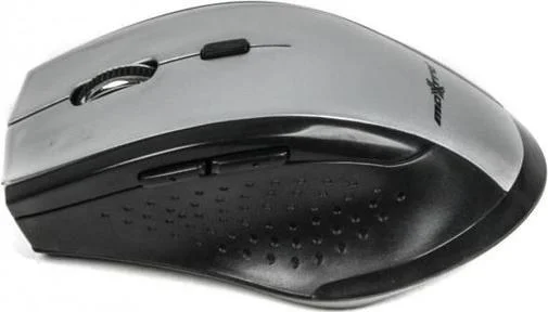 Фото: Миша Maxxtro Mr-311-S Silver № 7 | KTC