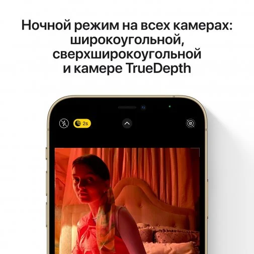 Фото: Смартфон Apple iPhone 12 Pro Max 256GB Gold (MGDE3) № 16 | KTC