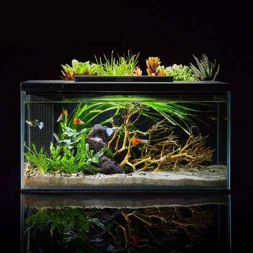 Акваріум PETKIT Smart Fish Tank with The Stone Park 10L