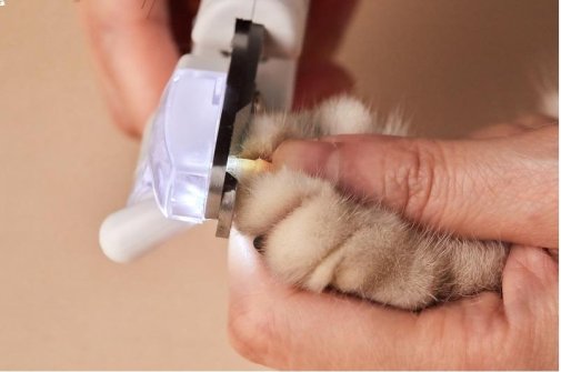 Кусачки PETKIT LED Pet Clipper