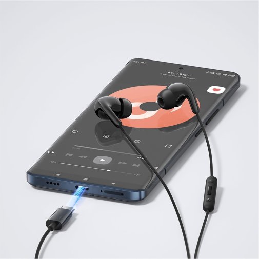 Гарнітура Xiaomi Type-C Earphones Black (BHR8930GL)