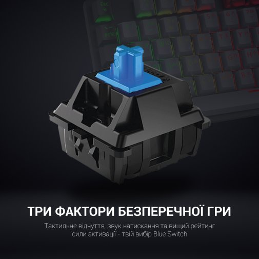 Клавіатура GamePro MK105B Blue Switch LED USB Black