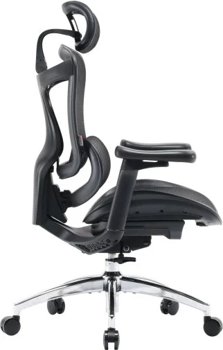 Фото: Крісло SIHOO Doro C300L Black (DORO-C300L-A3-101) № 23 | KTC