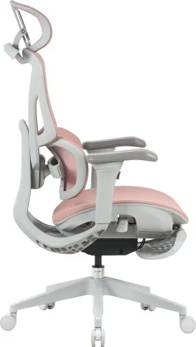 Фото: Крісло OfficePro Elite OC950GLP Gray/Light Pink № 27 | KTC