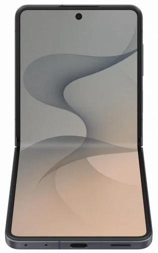 Фото: Смартфон Samsung Galaxy Flip8 12/256GB Graphite (SM-F776BZKGSEK) № 14 | KTC
