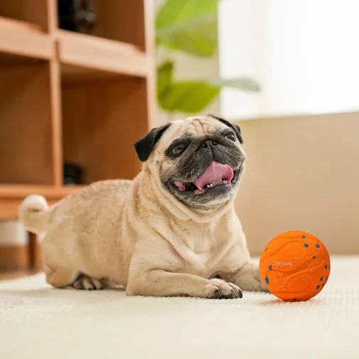 Фото: Інтерактивний розумний м'яч для собак Cheerble Wicked Ball Air Neo Bright Orange (CWQ09O) № 11 | KTC