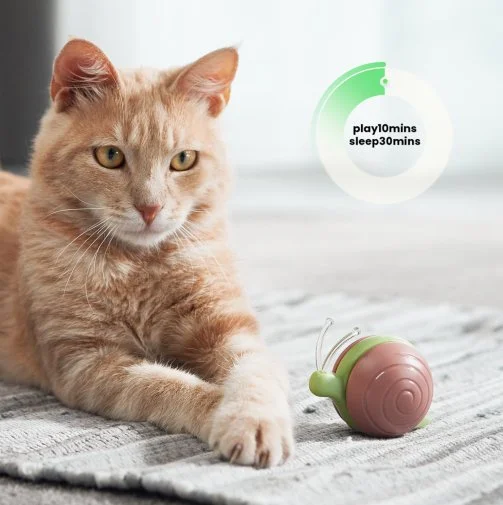 Фото: Інтерактивна розумна іграшка-равлик для котів Cheerble Wicked Snail Green (CWJ02G) № 24 | KTC
