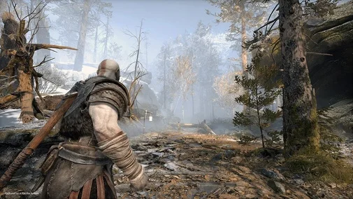 Фото: Гра God of War PS4 Blu-ray № 41 | KTC