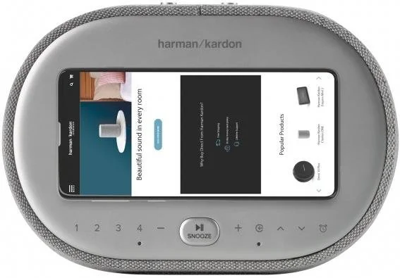 Фото: Колонка Harman Kardon Citation Oasis Grey (HKCITAOASISGRYEU) № 9 | KTC
