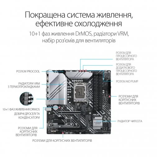 Фото: Материнська плата ASUS PRIME Z690M-PLUS D4 № 12 | KTC