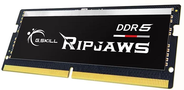 Оперативна пам’ять G.SKILL Ripjaws DDR5 1x16GB (F5-4800S4039A16GX1-RS)