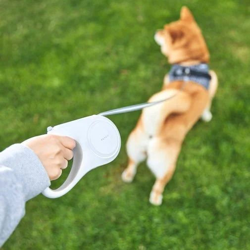 Фото: Повідець PETKIT Travel Go Shine Pet Leash 3m (P2101) № 10 | KTC