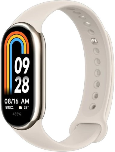 Фітнес-браслет Xiaomi Smart Band 9 Titan Gray (BHR8642GL)