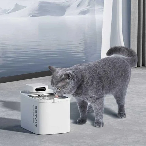 Фото: Фільтр PETKIT Water Fountain for EVERSWEET MAX 5PCS (P4171) № 13 | KTC
